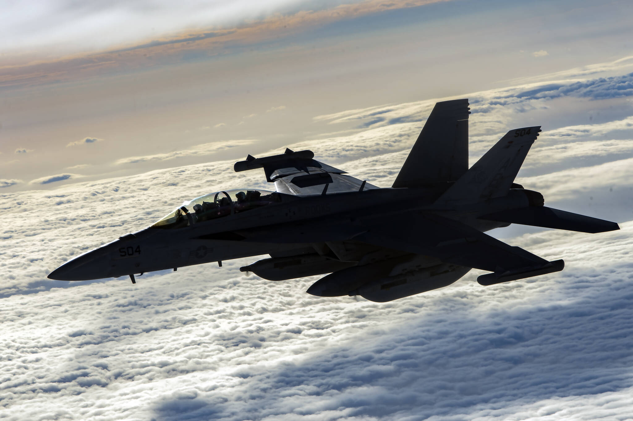 A U.S. Navy EA-18G Growler flies over Afghanistan, Jan. 23, 2020. The EA-18G has the capabilities to perform a wide range of enemy defense suppression missions with the latest electronic attack technology, jamming pods, and satellite communications. (U.S. Air Force photo by Staff Sgt. Matthew Lotz)