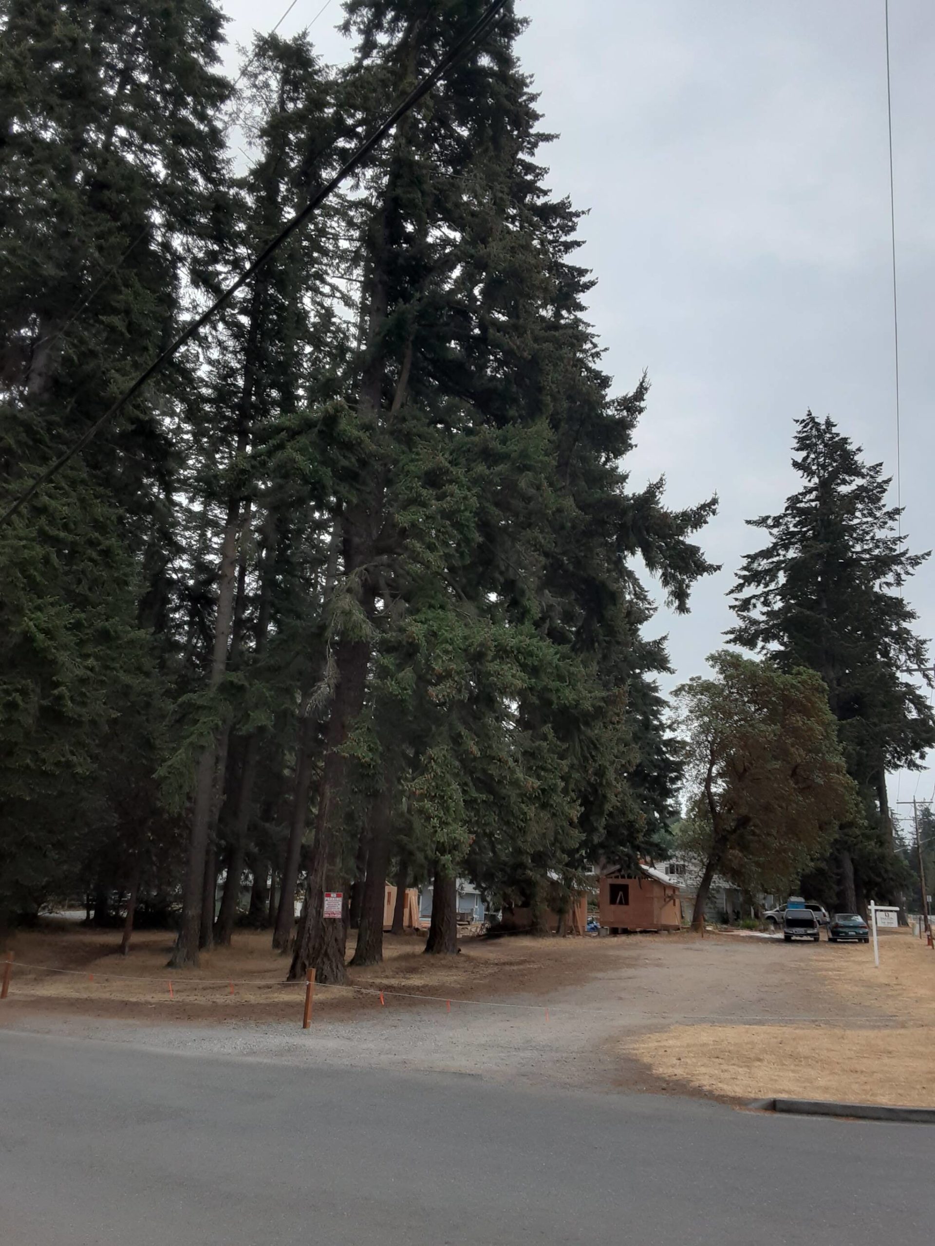 Langley lot proposed for future park South Whidbey Record