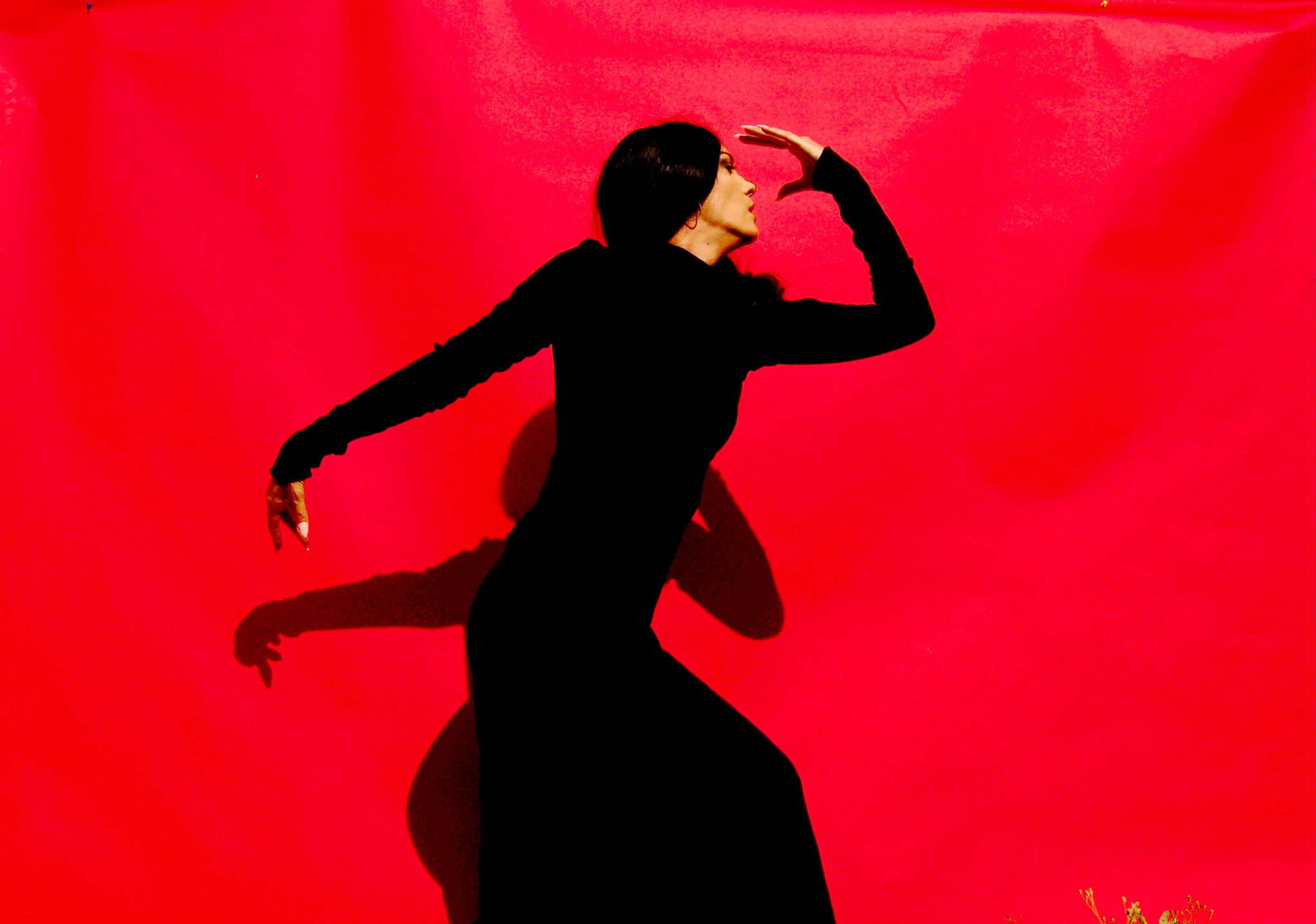 Photo provided
Savannah Fuentes is one of the premier Flamenco dancers in the Pacific Northwest.