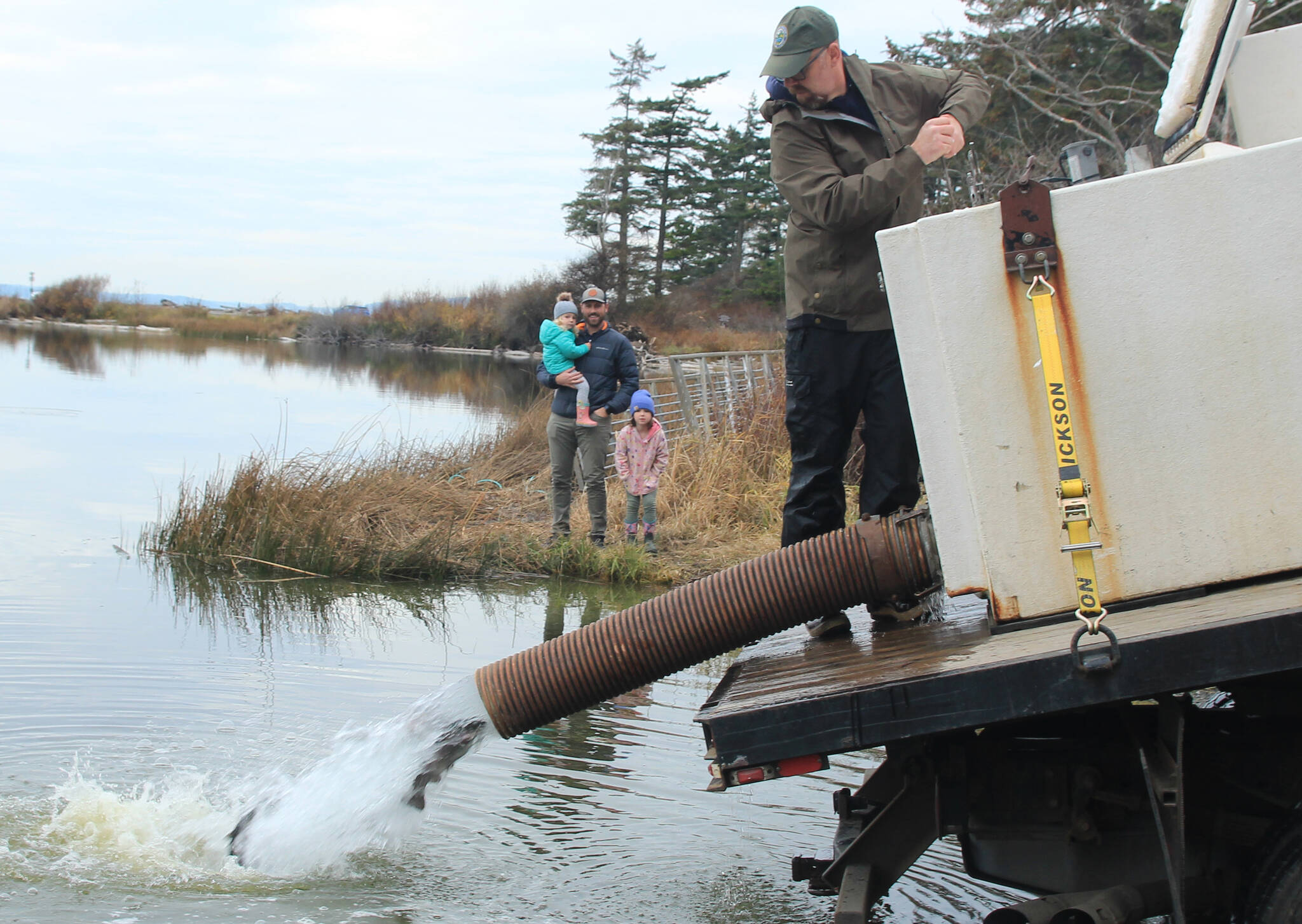 Photo by Jessie Stensland / Whidbey News Group
Fish and Wildlife biologist Justin Spinelli releases rainbow trout into Cranberry Lake as local resident Andy Golden and his two girls, Ellis and Maeve, look on.
