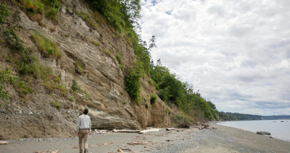 Ryan Berry / Everett Herald
Ryan Elting, executive director at the Whidbey Camano Land Trust, walks along the beach and looks up at the bluffs that line the property Friday, June 10, 2022, at the site of the Keystone Preserve near Coupeville, Washington. Elting said the natural erosion of the bluffs provides nutrients to the adjacent marine habitat.