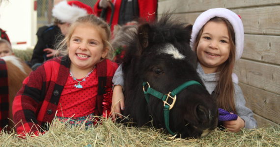 Photo by Karina Andrew/Whidbey News-Times
From left, kindergartener Gwen Carvalho and 4-year-old Maggie Sitko pet a miniature pony. Maggie’s grandmother, Ronnie Sitko, brought in the ponies to Oak Harbor Christian School on Friday to spread some Christmas cheer among the students.