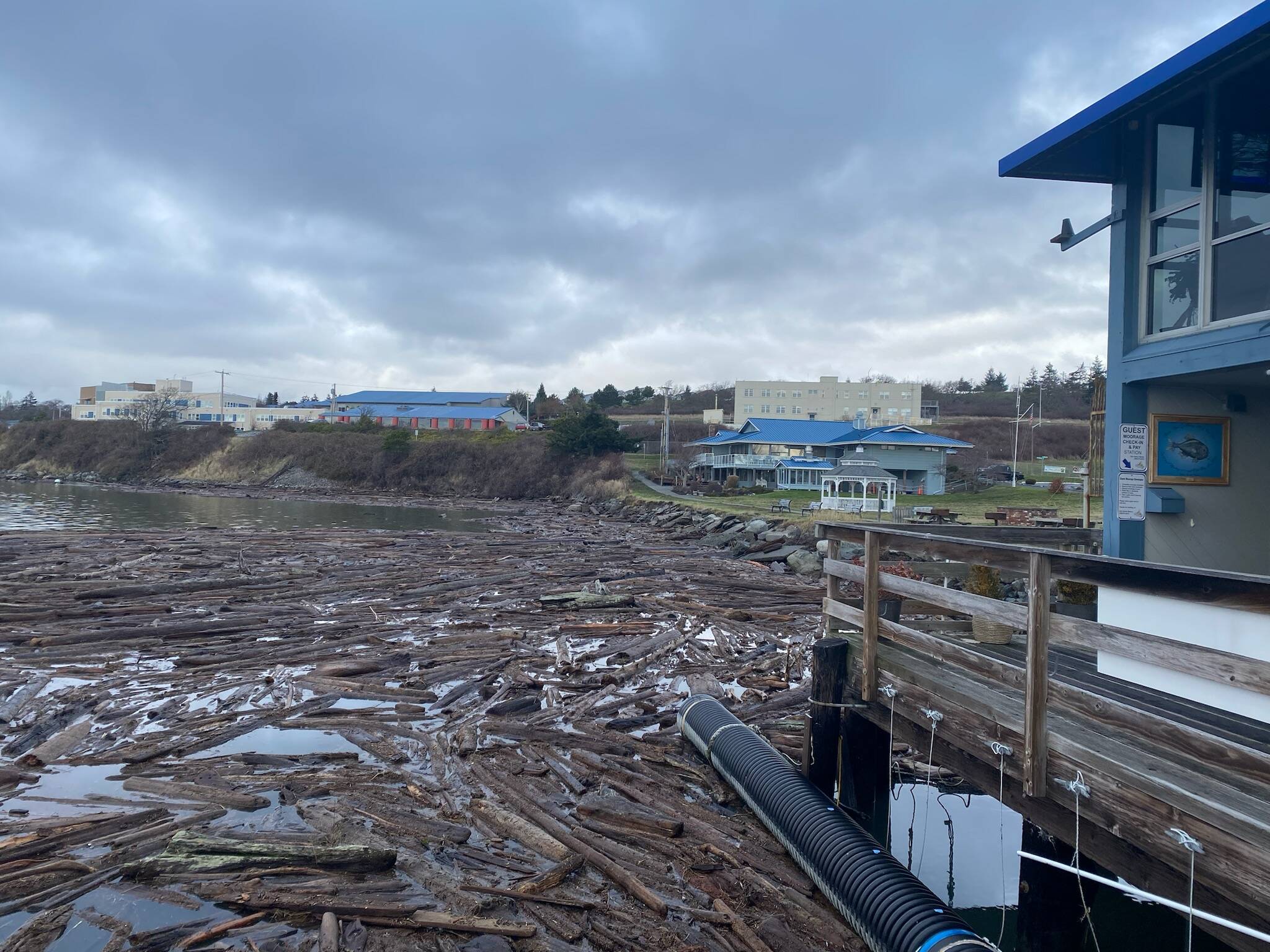 The Oak Harbor marina was clogged with driftwood following the king tides. (Photo provided)