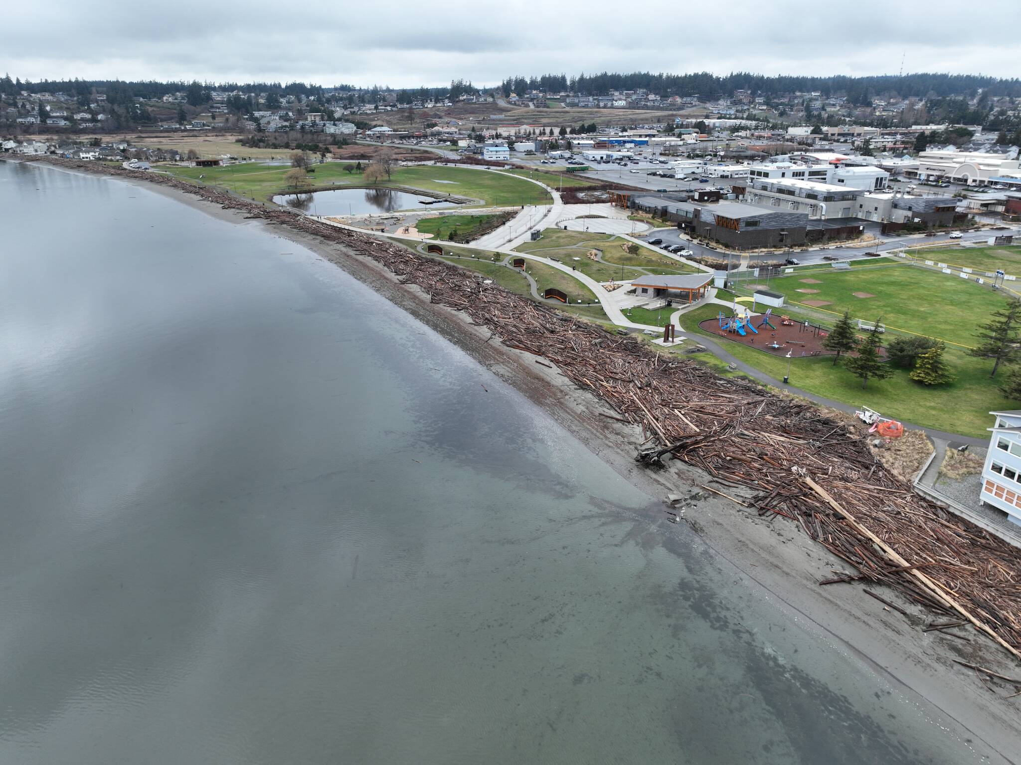 City of Oak Harbor photo
Oak Harbor beaches were inundated with driftwood during recent king tide events.