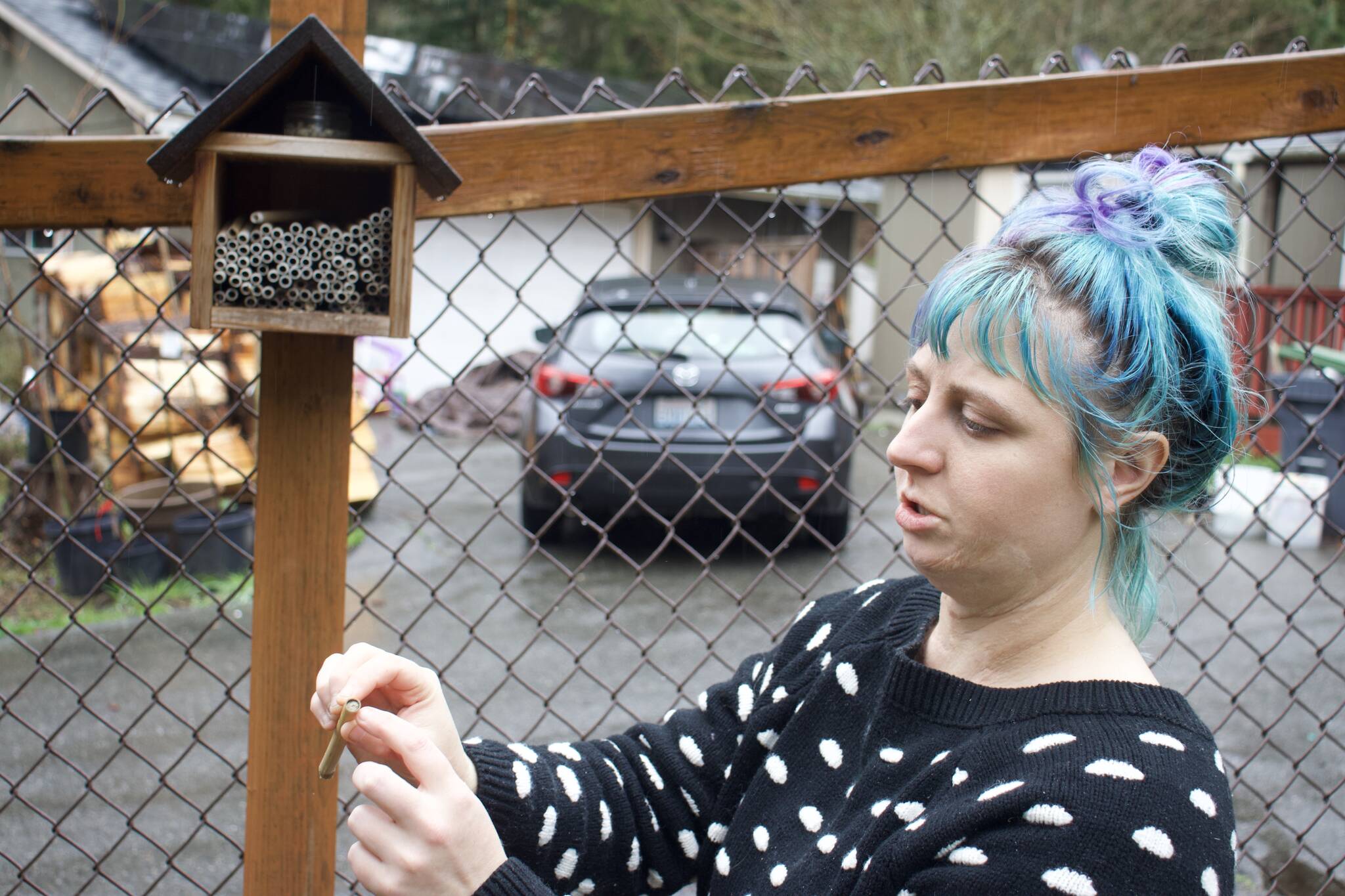 Photo by Rachel Rosen/Whidbey News-Times
Elizabeth Agin demonstrates how mason bees lay their eggs in narrow paper tubes