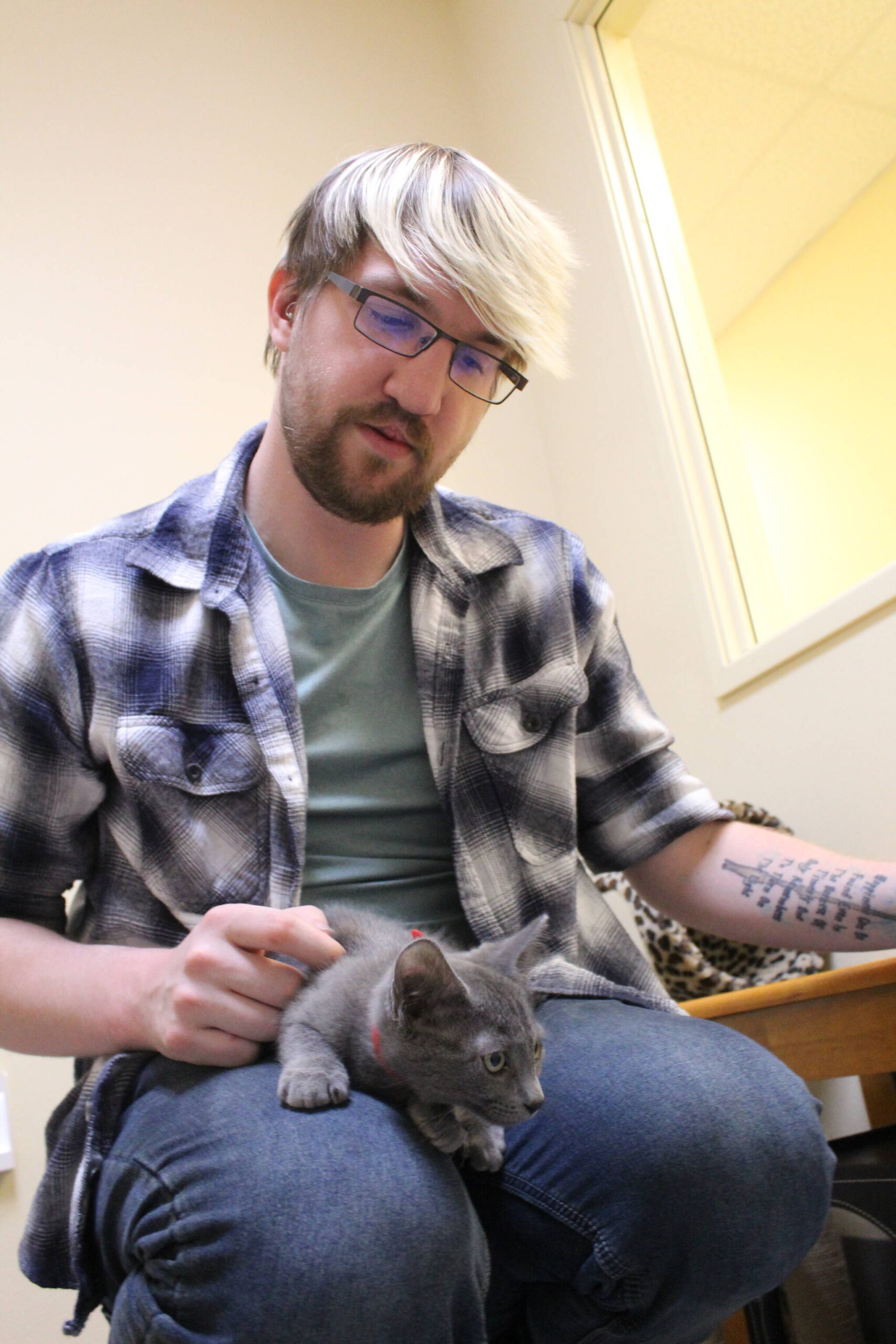WAIF community outreach coordinator Tré Frampton plays with a kitten, one of many that has come through the shelter this year. (Photo by Karina Andrew/Whidbey News-Times)