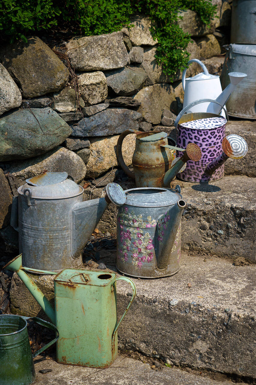 A plethora of watering cans, and other collections, can be found at Someday Farm.