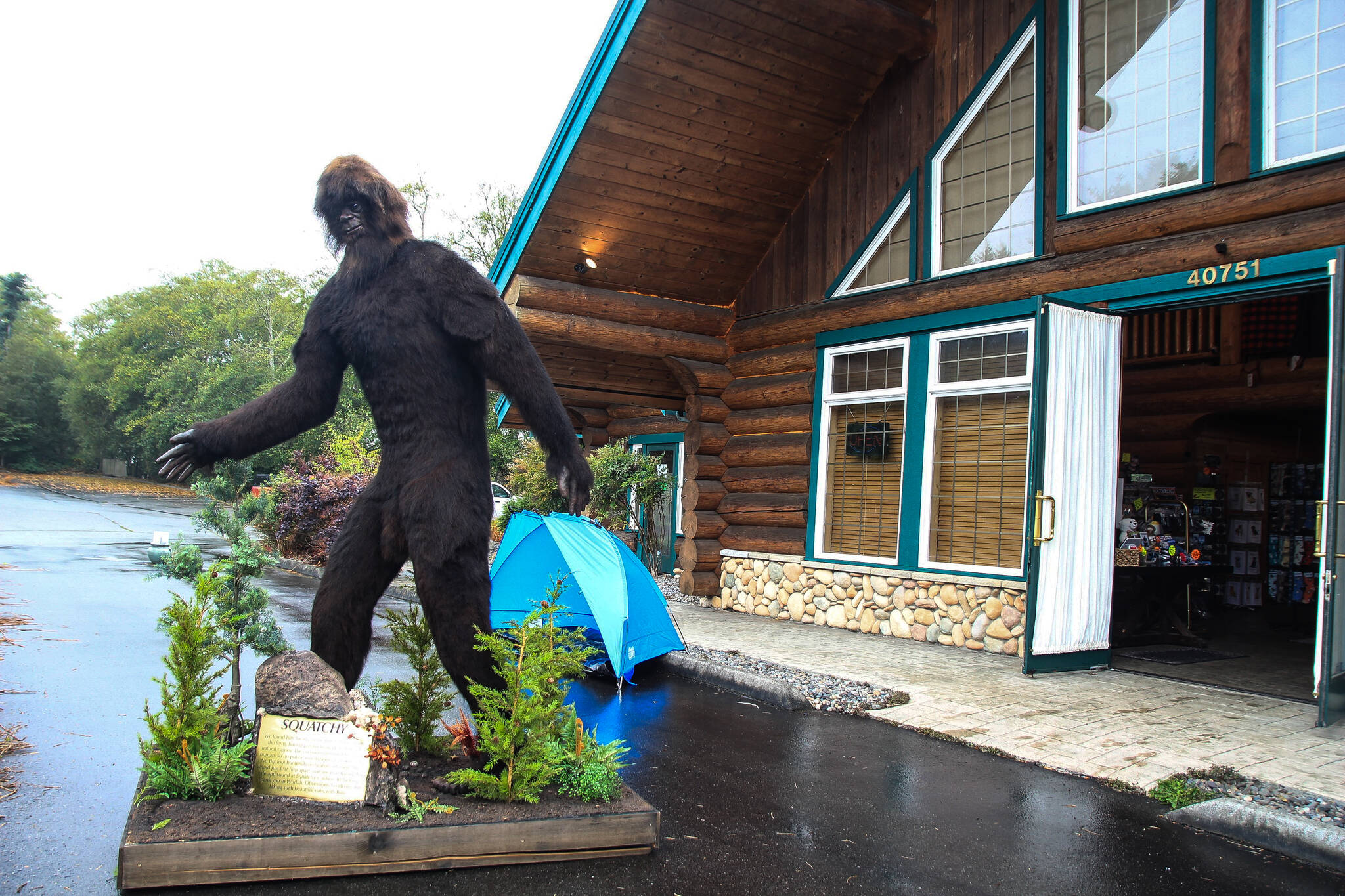 Squatchy stands in front of Squatchy’s. (Photo by Luisa Loi/Whidbey News-Times)