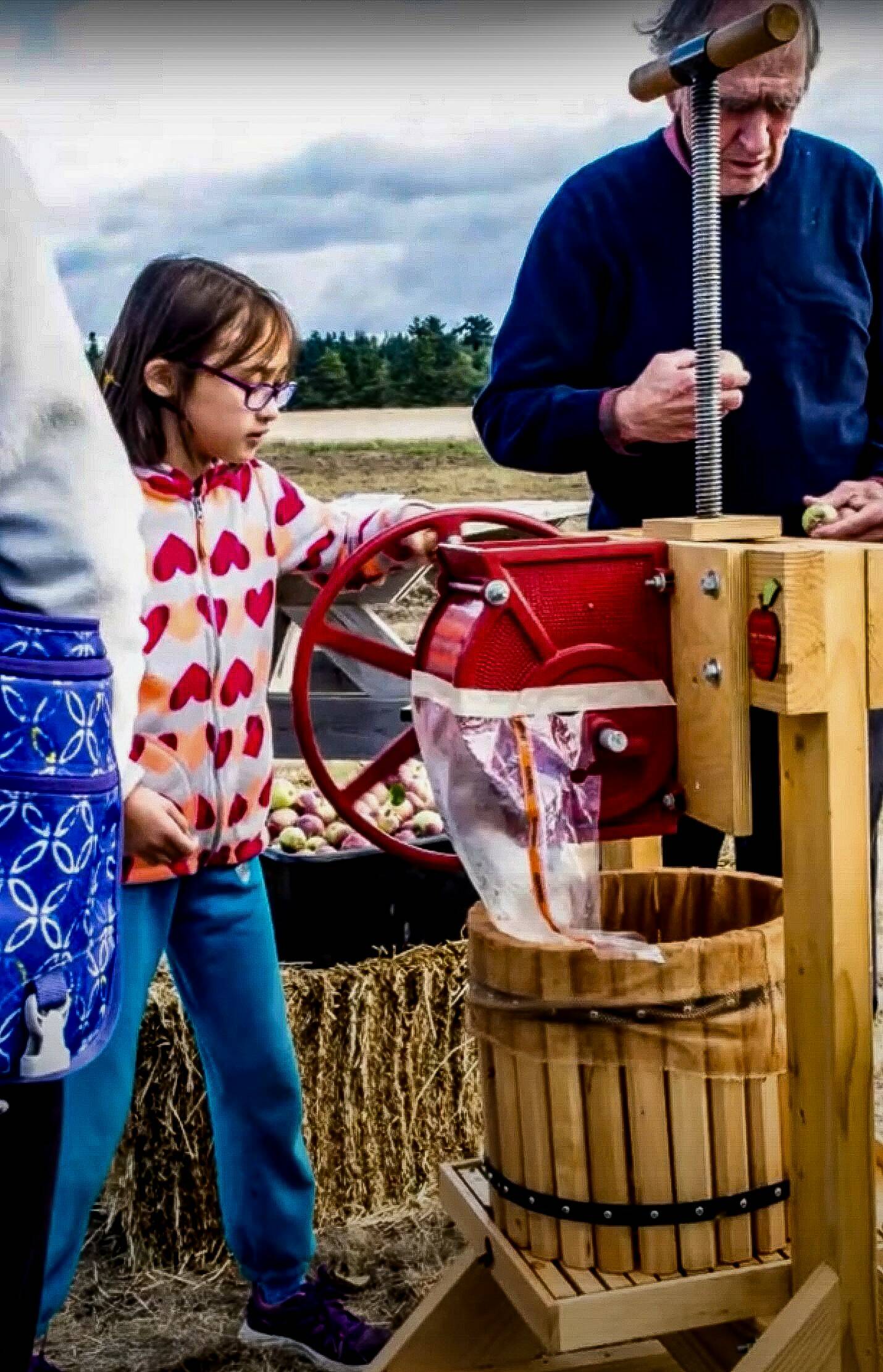 A girl helps press apples to make cider at one of the festival’s earlier editions. (Photo provided)