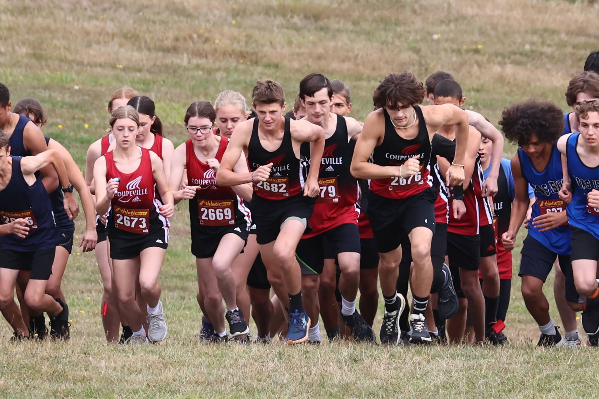 Cross country girls and boys start racing together during a race at Fort Casey State Park Wednesday. (Photo by John Fisken)