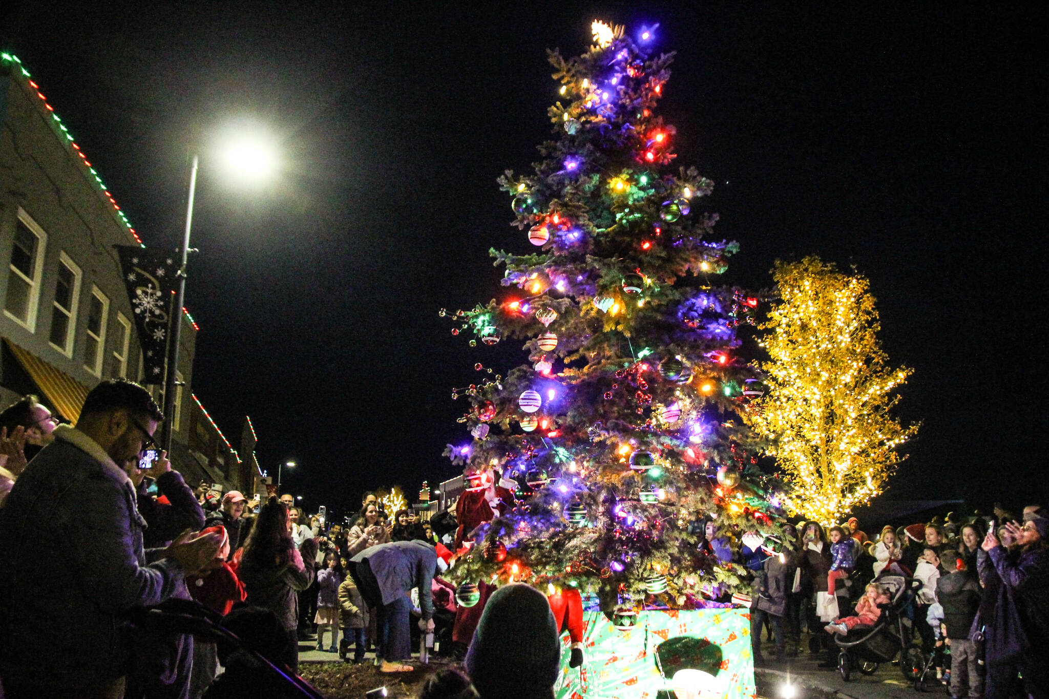 The lighting of the Christmas tree in Downtown Oak Harbor. (Photo by Luisa Loi)