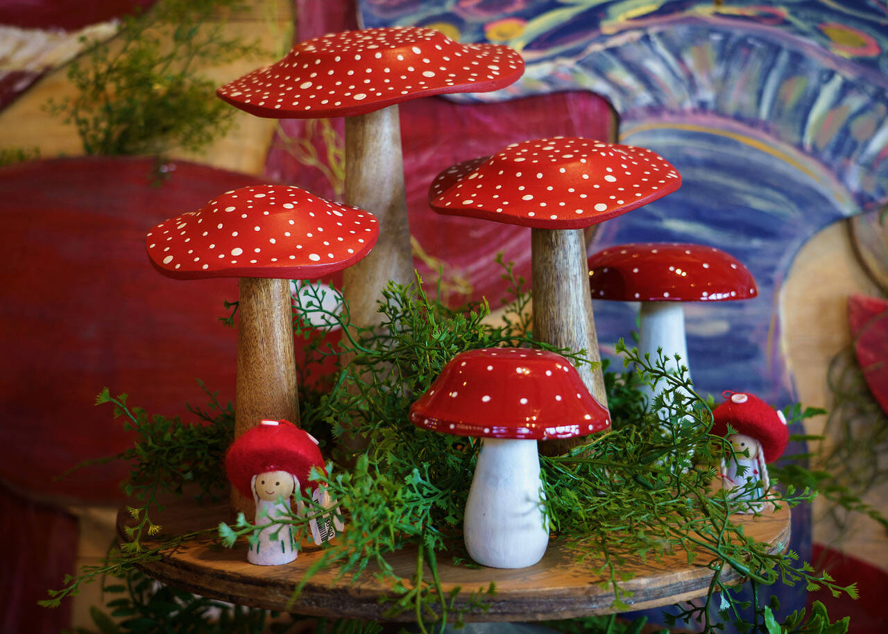 A display of fungi of the red-and-white variety can be found at Bayview Garden. (Photo by David Welton)