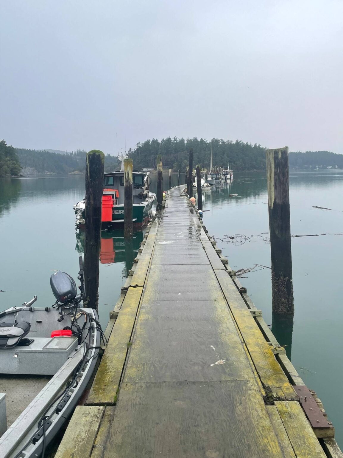 Bay dock work moves forward South Whidbey Record