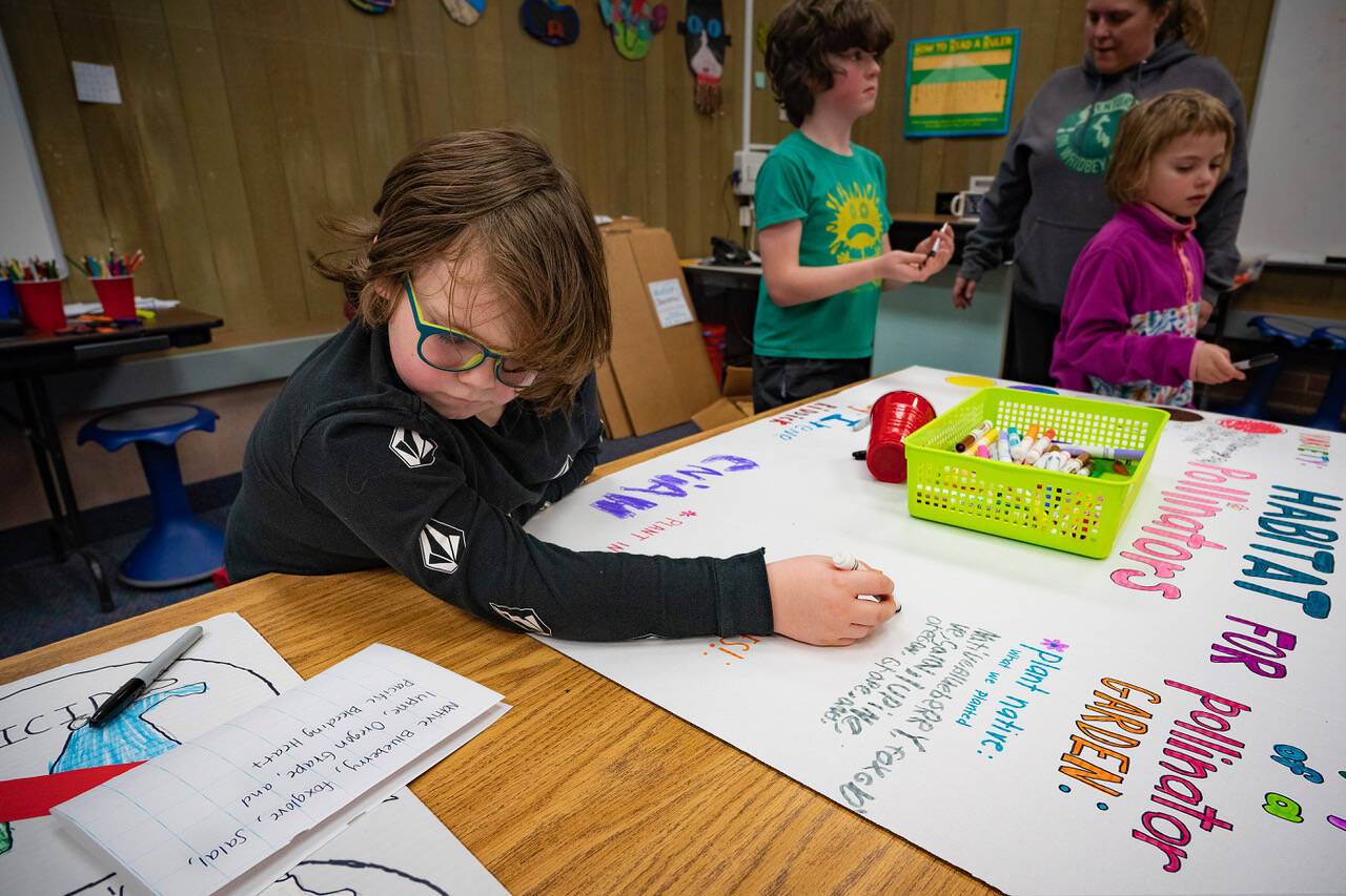 Second grader Coniah Pitts adds information to a poster about pollinator habitats. Students part of South Whidbey School District’s ALE program are set to present climate science projects next week in Olympia. (Photo by David Welton)