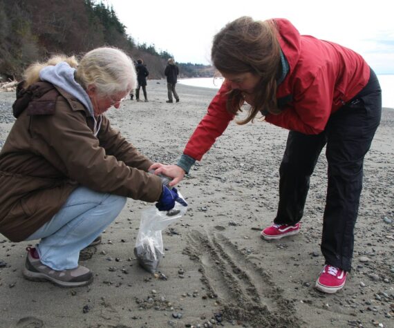 Citizen science volunteers Beverly Yoshioka, at left, and Britt McKenzie, at right, scoop up sand in hopes to find forage fish eggs in the samples. (Photo by Luisa Loi)