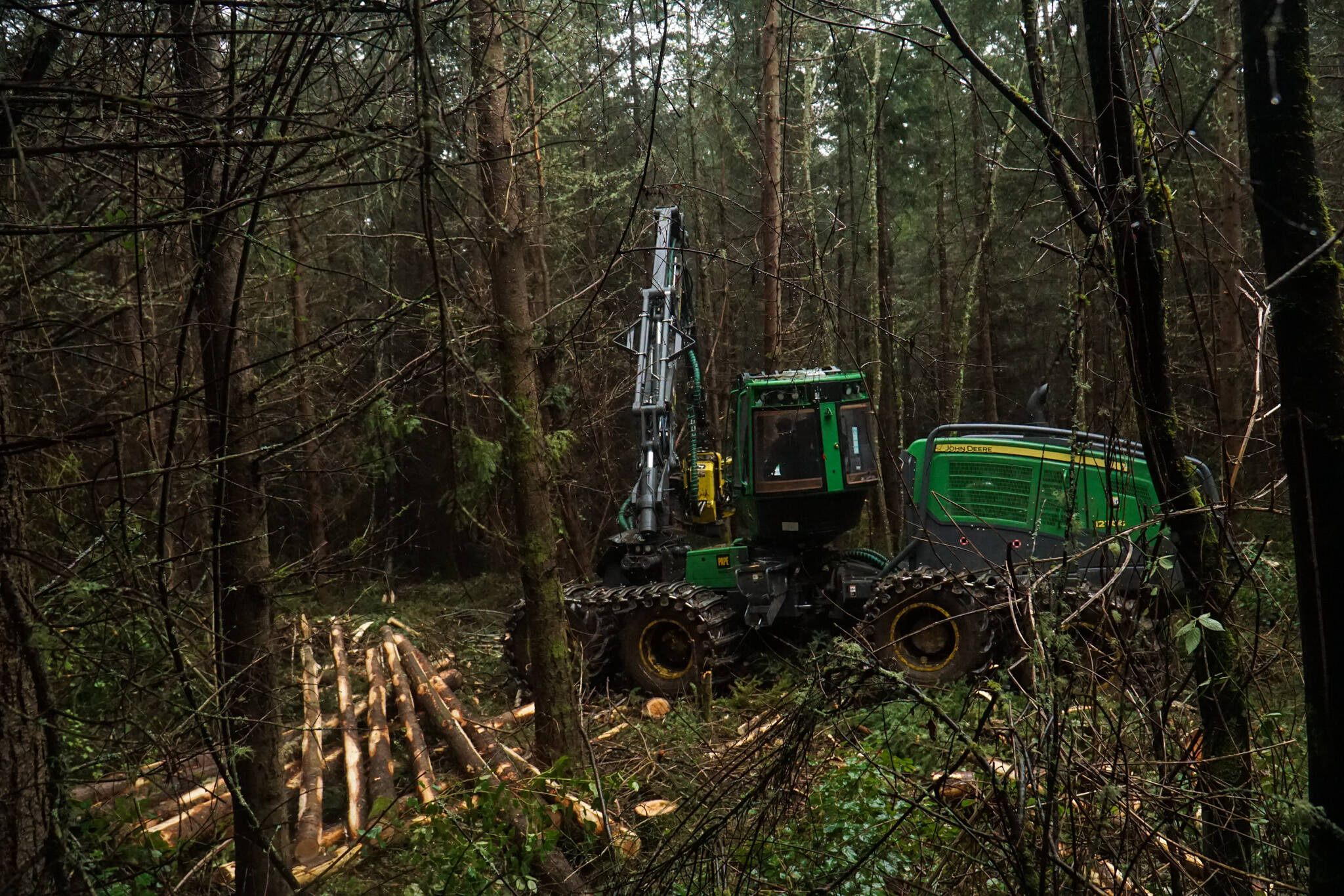 David Janicki of Janicki Logging Co. thins the Trillium Community Forest on Tuesday. (Photo by Sam Fletcher)