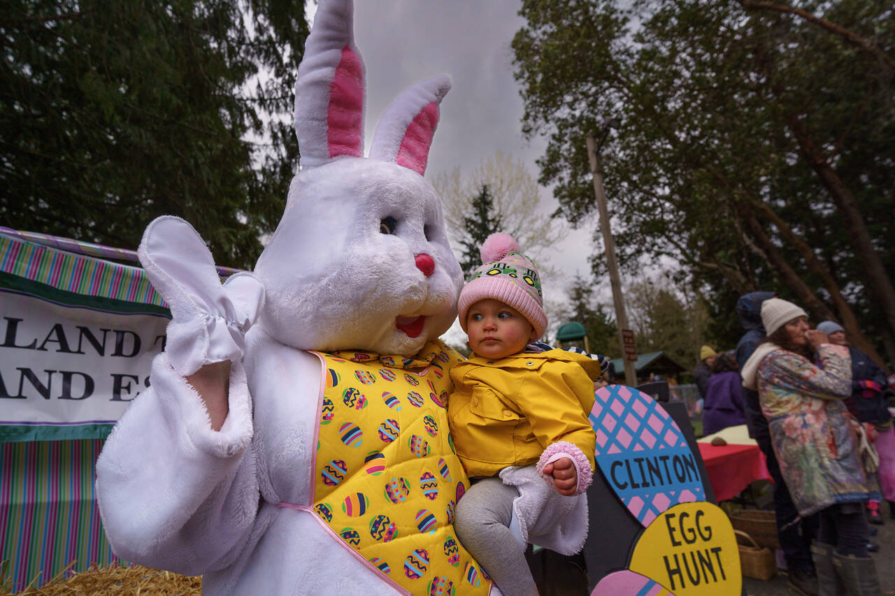 Photo by David Welton
A toddler is suspicious of the Easter Bunny during last year's egg hunt in Clinton.