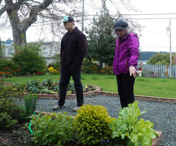 Gary (left) and Teresa Gillespie (right) display their garden, which will be in full bloom come June. (Photo by Sam Fletcher)