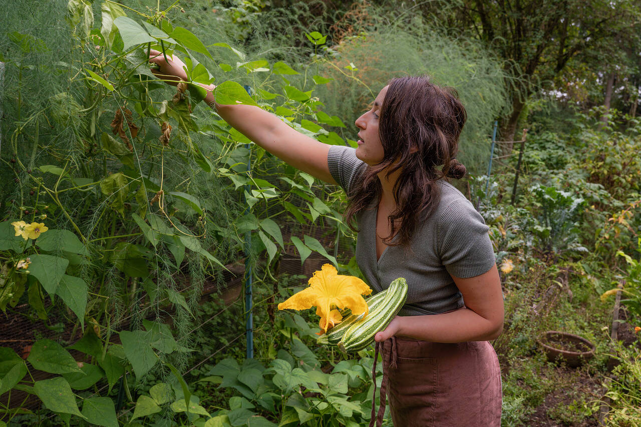 Renée Blair picks string beans from her garden. (Photo by David Welton)