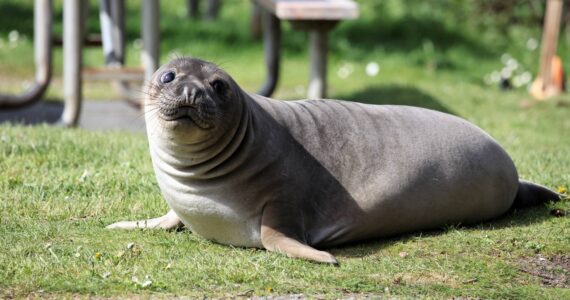 Photo provided by Garry Heinrich