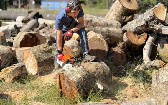 Photo by Sandra Johnson