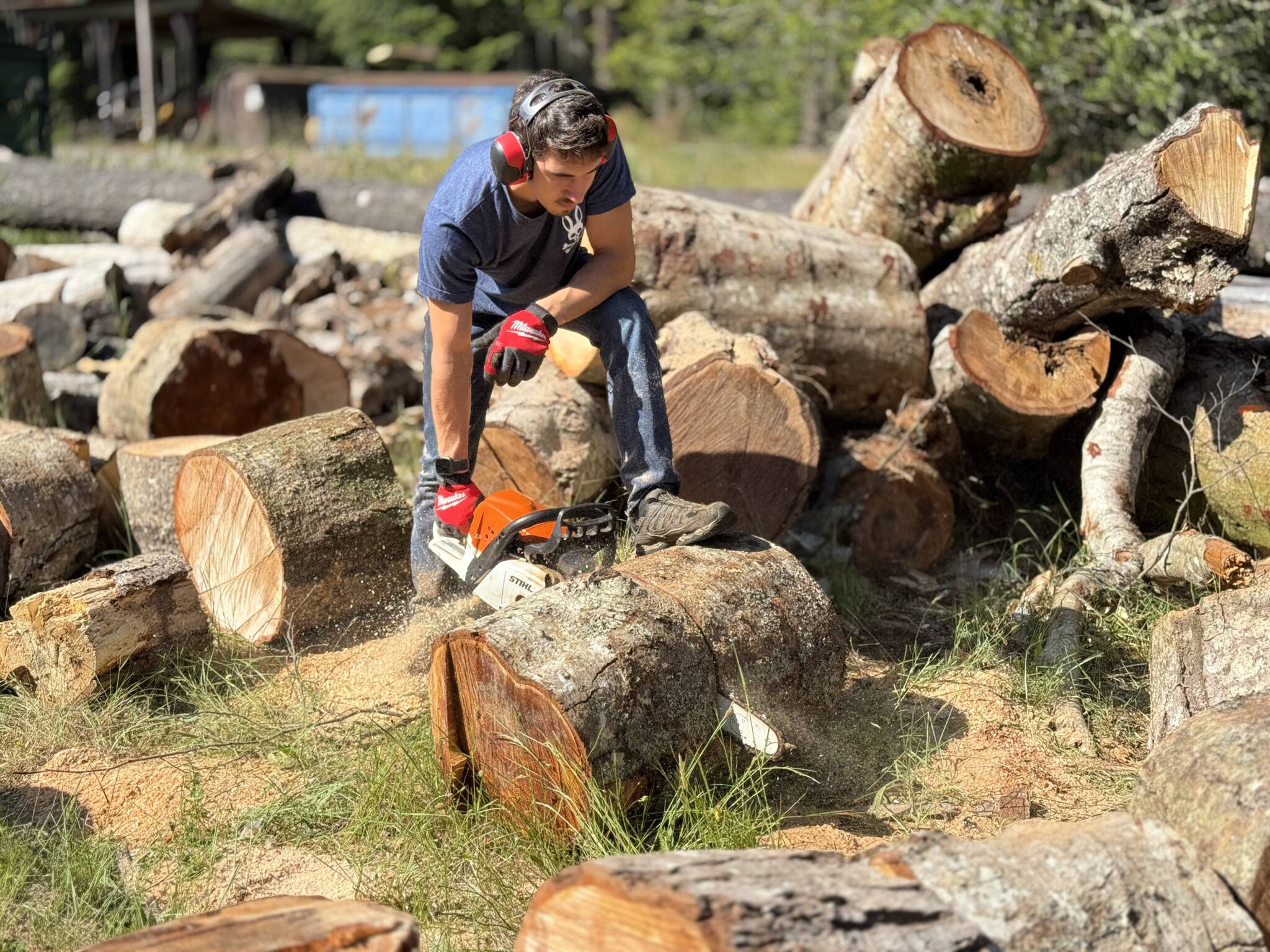 Photo by Sandra Johnson. A grandson of one of the Coupeville Lions assists with summer cutting season.