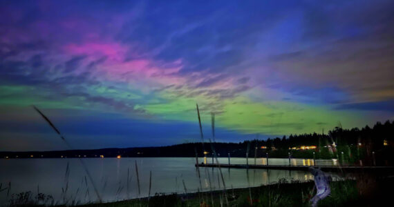 Photo by Jan Kocian at Holmes Harbor.