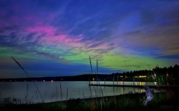 Photo by Jan Kocian at Holmes Harbor.