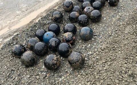 Photo provided by South Whidbey Parks and Recreation