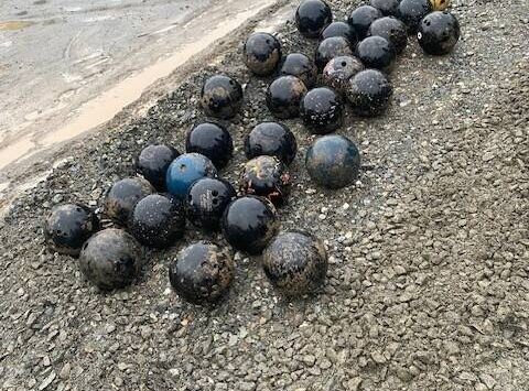 Photo provided by South Whidbey Parks and Recreation