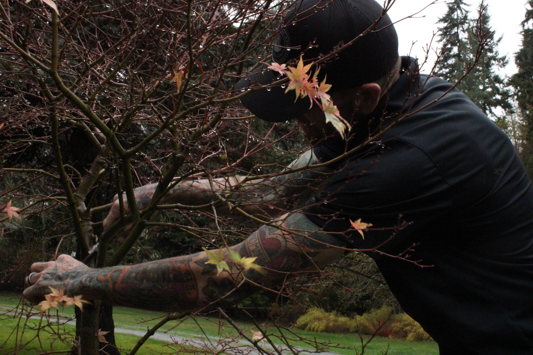 Photo by Allyson Ballard. Brian Linson has 25 years of experience in landscaping, and his company, BL Landscapes, serves Whidbey and beyond.