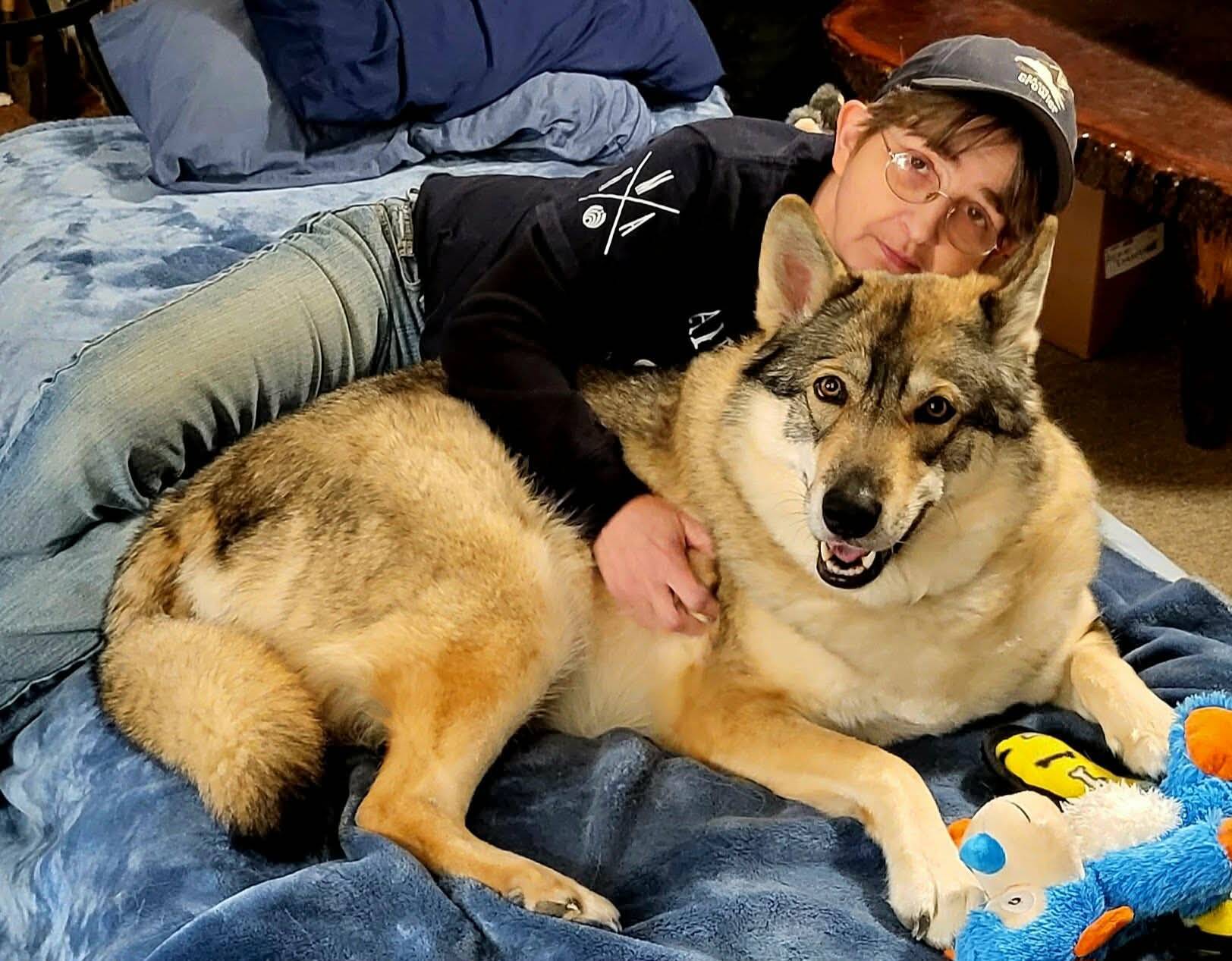 Photo provided. Ross cuddles up next to Nikita who lives like any other dog, eating dog food and doing zoomies in the yard. At age 60, Ross is preparing to hike the Pacific Crest Trail from Mexico to her house on Whidbey in honor of both wolf-dog hybrids and missing hikers.