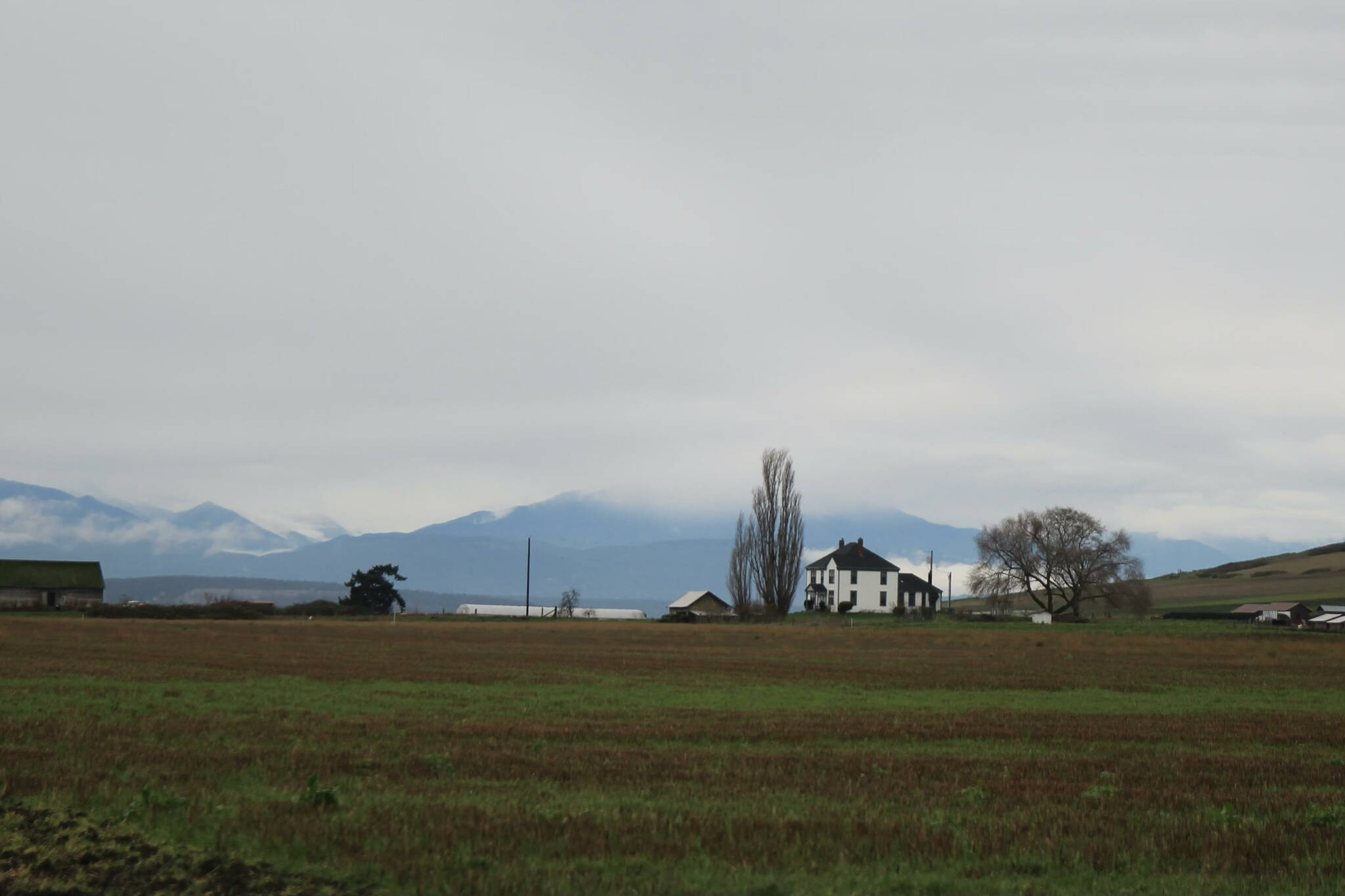 Real estate market on Whidbey remains steady
