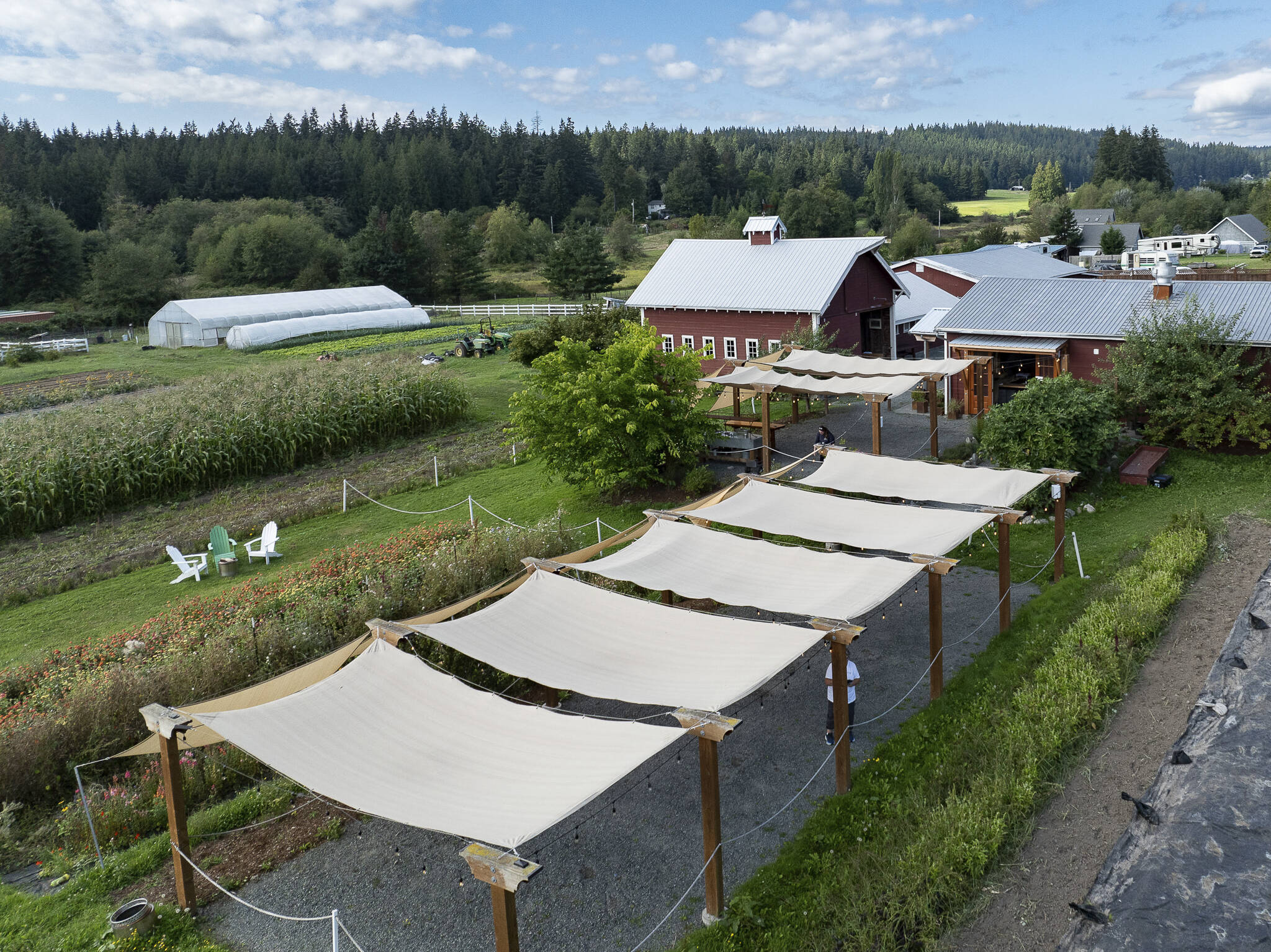 Island County chef takes a break from the kitchen to write