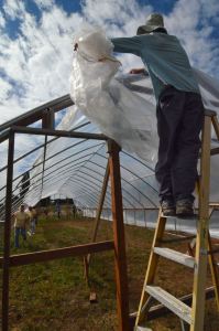 With a little help from friends