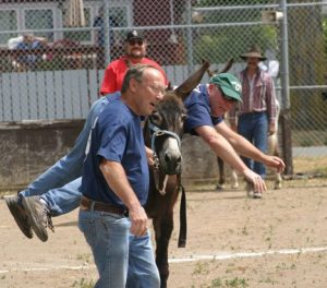 Baseball player Mickey Frawley does his best to mount his trusty steed enroute to first base Saturday at the Eagles’ annual donkey baseball game.