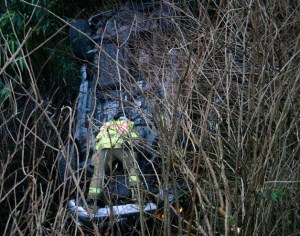 Firefighter Jeff Parker fights his way through the brambles to switch off the running motor of the Toyota Tacoma lying upside down below Saratoga Road Thursday.