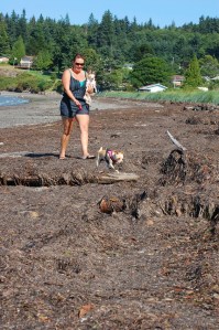 Freeland resident Lila Haynes and her two Chihuahuas
