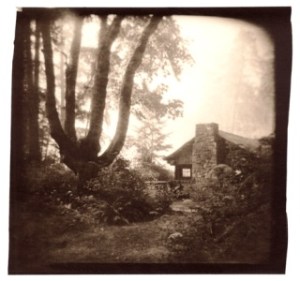 Skip Smith's 'Shelter