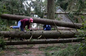 Kirk Highberger and Molly Brewer hop downed trees at Jon Gulledge and Roberta Gentry’s house on Saratoga Road. About 10 large trees fell over the property