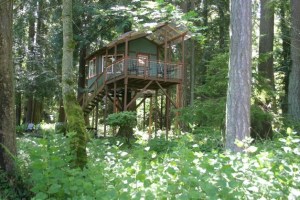 Like a small sentinel among the towering trees of this Freeland forest stands the Whidbey Wellness in the Woods treehouse.