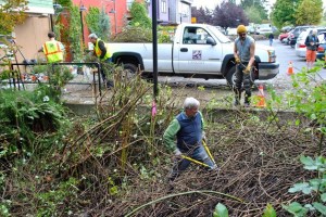 Volunteers Matt King and Max Cole Takanikos help cut away and clear out a thicket of vegetation that grew over a day lit section of Brookhaven Creek near Third Street and Anthes Avenue. Helping them are Langley Public Works employees Joe Wierzbowski and Jeremiah Pace.