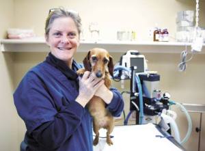 Jean Dieden has opened a new animal clinic on South Whidbey. Animal Hospital by the Sea in Langley was created to service small pets
