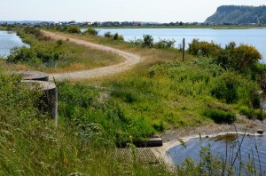 Maintaining the dike at Deer Lagoon may cost diking district residents next year as the county is proposing an assessment.