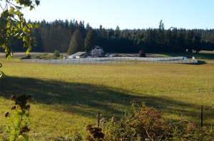 A site plan for Now in Zen