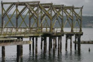 The derelict Hein dock at the Langley marina. Port of South Whidbey Commissioners rejected a Department of Natural Resources offer to remove the piers at the agency's expense Thursday morning.