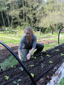Abigail Lazarowski works in the Westgarden at Whidbey Institute Thursday afternoon.
