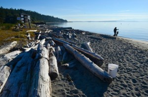 Freeland resident Don Cannon and his dog Lucky walk on beachfront property adjacent to the Mutiny Bay boat launch. The beach is expected to be donated to the public by Frank Robinson