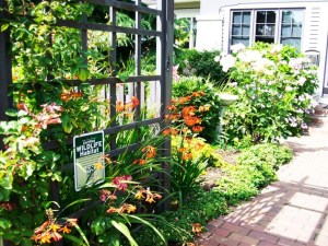 Above is an example of a certified private backyard. Below