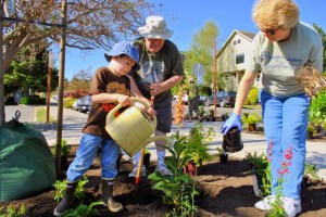 Volunteers Miles Buckwalter and Clark Goecker help plant the Second Street garden beds on June 6
